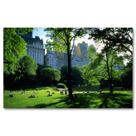 Αφίσα (Central Park, Μανχάταν, Island, νέος, Υόρκη, Νέα Υόρκη, αξιοθέατα, θέα, πόλη, αρχιτεκτονική, κτίρια, Νέα Υόρκη, grass)